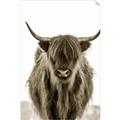 Picture of B&W Highland _GroupedProduct_Rectangle_Portrait_Photography _GroupedProduct_Rectangle_Portrait_Unframed_Print_Only_