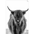 Picture of B&W Highland _GroupedProduct_Rectangle_Portrait_Photography _GroupedProduct_Rectangle_Portrait_Unframed_Print_Only_