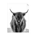Picture of B&W Highland _GroupedProduct_Rectangle_Portrait_Photography _GroupedProduct_Rectangle_Portrait_Unframed_Print_Only_