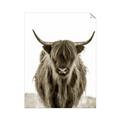 Picture of B&W Highland _GroupedProduct_Rectangle_Portrait_Photography _GroupedProduct_Rectangle_Portrait_Unframed_Print_Only_