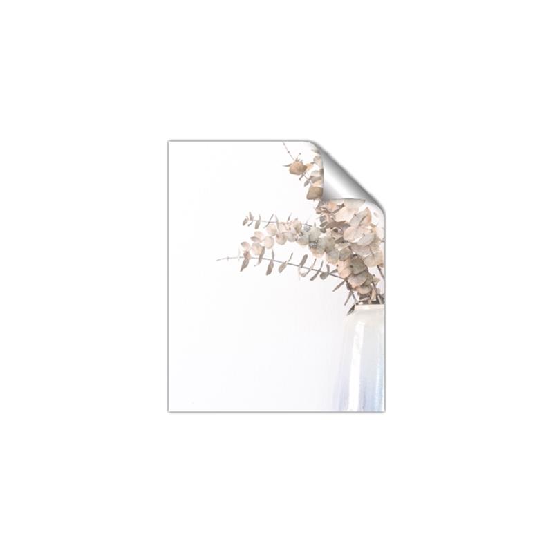 Picture of Nautral Eucalyptus  _GroupedProduct_Rectangle_Portrait_Photography _GroupedProduct_Rectangle_Portrait_Unframed_Print_Only_