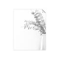 Picture of Nautral Eucalyptus  _GroupedProduct_Rectangle_Portrait_Photography _GroupedProduct_Rectangle_Portrait_Unframed_Print_Only_