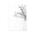 Picture of Nautral Eucalyptus  _GroupedProduct_Rectangle_Portrait_Photography _GroupedProduct_Rectangle_Portrait_Unframed_Print_Only_