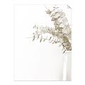 Picture of Nautral Eucalyptus  _GroupedProduct_Rectangle_Portrait_Photography _GroupedProduct_Rectangle_Portrait_Unframed_Print_Only_