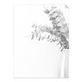 Picture of Nautral Eucalyptus  _GroupedProduct_Rectangle_Portrait_Photography _GroupedProduct_Rectangle_Portrait_Unframed_Print_Only_