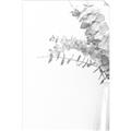 Picture of Nautral Eucalyptus  _GroupedProduct_Rectangle_Portrait_Photography _GroupedProduct_Rectangle_Portrait_Unframed_Print_Only_