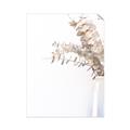 Picture of Nautral Eucalyptus  _GroupedProduct_Rectangle_Portrait_Photography _GroupedProduct_Rectangle_Portrait_Unframed_Print_Only_