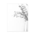 Picture of Nautral Eucalyptus  _GroupedProduct_Rectangle_Portrait_Photography _GroupedProduct_Rectangle_Portrait_Unframed_Print_Only_
