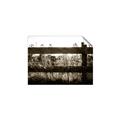 Picture of Farm Fence _GroupedProduct_Rectangle_Landscape_Photography _GroupedProduct_Rectangle_Landscape_Unframed_Print_Only_
