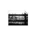 Picture of Farm Fence _GroupedProduct_Rectangle_Landscape_Photography _GroupedProduct_Rectangle_Landscape_Unframed_Print_Only_