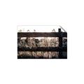 Picture of Farm Fence _GroupedProduct_Rectangle_Landscape_Photography _GroupedProduct_Rectangle_Landscape_Unframed_Print_Only_