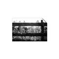 Picture of Farm Fence _GroupedProduct_Rectangle_Landscape_Photography _GroupedProduct_Rectangle_Landscape_Unframed_Print_Only_