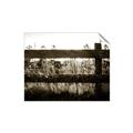 Picture of Farm Fence _GroupedProduct_Rectangle_Landscape_Photography _GroupedProduct_Rectangle_Landscape_Unframed_Print_Only_