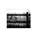 Picture of Farm Fence _GroupedProduct_Rectangle_Landscape_Photography _GroupedProduct_Rectangle_Landscape_Unframed_Print_Only_