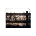 Picture of Farm Fence _GroupedProduct_Rectangle_Landscape_Photography _GroupedProduct_Rectangle_Landscape_Unframed_Print_Only_