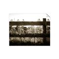 Picture of Farm Fence _GroupedProduct_Rectangle_Landscape_Photography _GroupedProduct_Rectangle_Landscape_Unframed_Print_Only_