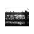 Picture of Farm Fence _GroupedProduct_Rectangle_Landscape_Photography _GroupedProduct_Rectangle_Landscape_Unframed_Print_Only_