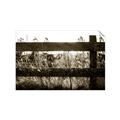 Picture of Farm Fence _GroupedProduct_Rectangle_Landscape_Photography _GroupedProduct_Rectangle_Landscape_Unframed_Print_Only_
