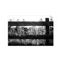 Picture of Farm Fence _GroupedProduct_Rectangle_Landscape_Photography _GroupedProduct_Rectangle_Landscape_Unframed_Print_Only_