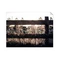 Picture of Farm Fence _GroupedProduct_Rectangle_Landscape_Photography _GroupedProduct_Rectangle_Landscape_Unframed_Print_Only_