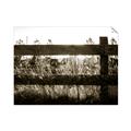 Picture of Farm Fence _GroupedProduct_Rectangle_Landscape_Photography _GroupedProduct_Rectangle_Landscape_Unframed_Print_Only_