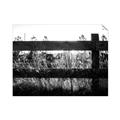 Picture of Farm Fence _GroupedProduct_Rectangle_Landscape_Photography _GroupedProduct_Rectangle_Landscape_Unframed_Print_Only_