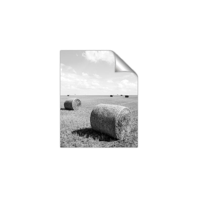 Picture of Hay Bail _GroupedProduct_Rectangle_Portrait_Photography _GroupedProduct_Rectangle_Portrait_Unframed_Print_Only_