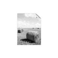 Picture of Hay Bail _GroupedProduct_Rectangle_Portrait_Photography _GroupedProduct_Rectangle_Portrait_Unframed_Print_Only_