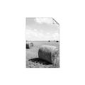 Picture of Hay Bail _GroupedProduct_Rectangle_Portrait_Photography _GroupedProduct_Rectangle_Portrait_Unframed_Print_Only_