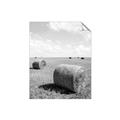 Picture of Hay Bail _GroupedProduct_Rectangle_Portrait_Photography _GroupedProduct_Rectangle_Portrait_Unframed_Print_Only_