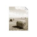 Picture of Hay Bail _GroupedProduct_Rectangle_Portrait_Photography _GroupedProduct_Rectangle_Portrait_Unframed_Print_Only_