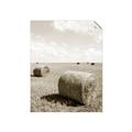 Picture of Hay Bail _GroupedProduct_Rectangle_Portrait_Photography _GroupedProduct_Rectangle_Portrait_Unframed_Print_Only_