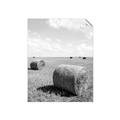 Picture of Hay Bail _GroupedProduct_Rectangle_Portrait_Photography _GroupedProduct_Rectangle_Portrait_Unframed_Print_Only_