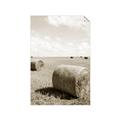 Picture of Hay Bail _GroupedProduct_Rectangle_Portrait_Photography _GroupedProduct_Rectangle_Portrait_Unframed_Print_Only_
