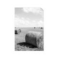 Picture of Hay Bail _GroupedProduct_Rectangle_Portrait_Photography _GroupedProduct_Rectangle_Portrait_Unframed_Print_Only_