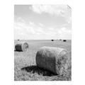 Picture of Hay Bail _GroupedProduct_Rectangle_Portrait_Photography _GroupedProduct_Rectangle_Portrait_Unframed_Print_Only_