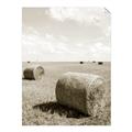 Picture of Hay Bail _GroupedProduct_Rectangle_Portrait_Photography _GroupedProduct_Rectangle_Portrait_Unframed_Print_Only_
