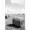 Picture of Hay Bail _GroupedProduct_Rectangle_Portrait_Photography _GroupedProduct_Rectangle_Portrait_Unframed_Print_Only_