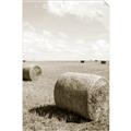 Picture of Hay Bail _GroupedProduct_Rectangle_Portrait_Photography _GroupedProduct_Rectangle_Portrait_Unframed_Print_Only_