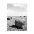 Picture of Hay Bail _GroupedProduct_Rectangle_Portrait_Photography _GroupedProduct_Rectangle_Portrait_Unframed_Print_Only_