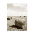 Picture of Hay Bail _GroupedProduct_Rectangle_Portrait_Photography _GroupedProduct_Rectangle_Portrait_Unframed_Print_Only_