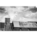 Picture of On the Farm  _GroupedProduct_Rectangle_Landscape_Photography _GroupedProduct_Rectangle_Landscape_Unframed_Print_Only_
