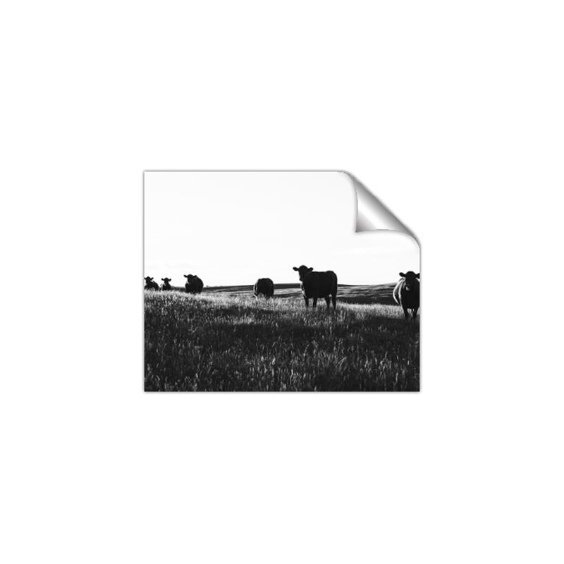 Picture of Cow Field  _GroupedProduct_Rectangle_Landscape_Photography _GroupedProduct_Rectangle_Landscape_Unframed_Print_Only_