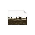 Picture of Cow Field  _GroupedProduct_Rectangle_Landscape_Photography _GroupedProduct_Rectangle_Landscape_Unframed_Print_Only_