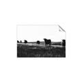 Picture of Cow Field  _GroupedProduct_Rectangle_Landscape_Photography _GroupedProduct_Rectangle_Landscape_Unframed_Print_Only_