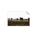Picture of Cow Field  _GroupedProduct_Rectangle_Landscape_Photography _GroupedProduct_Rectangle_Landscape_Unframed_Print_Only_