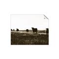 Picture of Cow Field  _GroupedProduct_Rectangle_Landscape_Photography _GroupedProduct_Rectangle_Landscape_Unframed_Print_Only_
