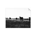 Picture of Cow Field  _GroupedProduct_Rectangle_Landscape_Photography _GroupedProduct_Rectangle_Landscape_Unframed_Print_Only_