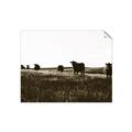 Picture of Cow Field  _GroupedProduct_Rectangle_Landscape_Photography _GroupedProduct_Rectangle_Landscape_Unframed_Print_Only_