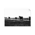 Picture of Cow Field  _GroupedProduct_Rectangle_Landscape_Photography _GroupedProduct_Rectangle_Landscape_Unframed_Print_Only_